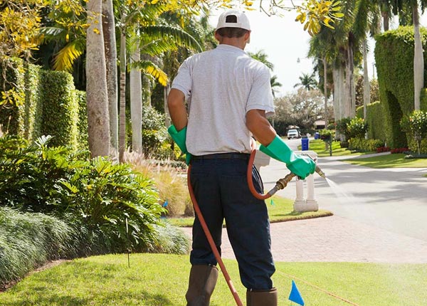 About Oracle AZ Pest Control
